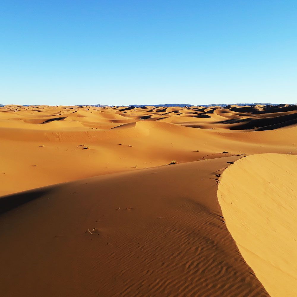 les dunes de sable du désert marocain.