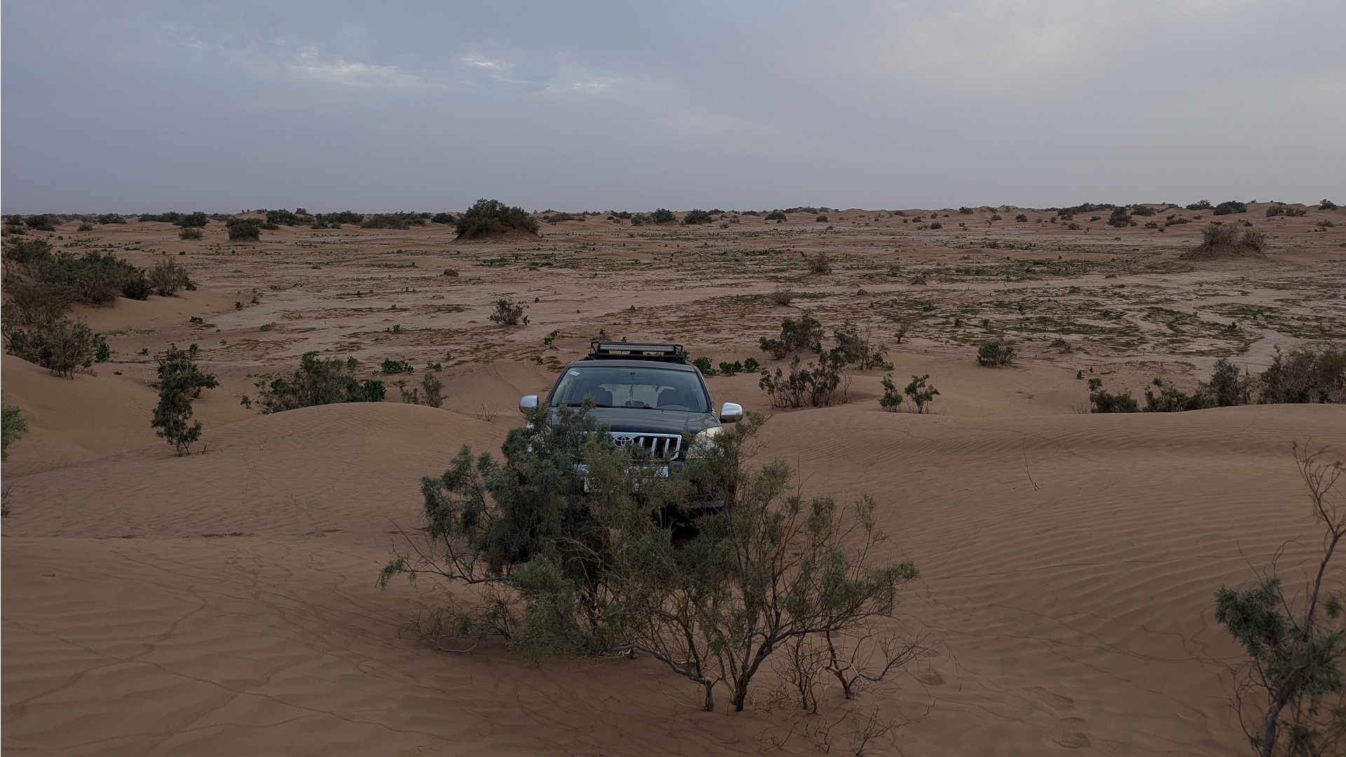 Un 4x4 dans les dunes