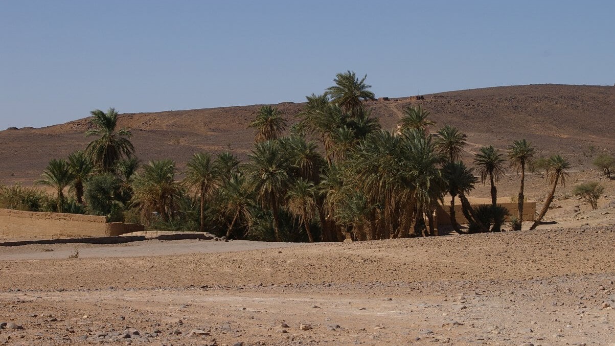 Oasis de Oum Lâalag