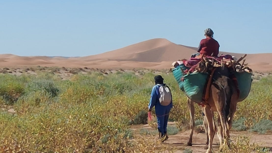 Vacances entre amis : Vers La grande dune
